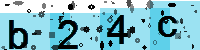 Capcha code