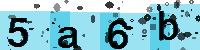 Capcha code
