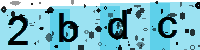 Capcha code