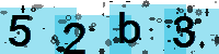 Capcha code