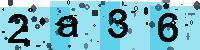 Capcha code