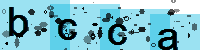 Capcha code