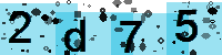 Capcha code