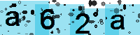 Capcha code
