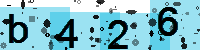Capcha code