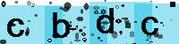 Capcha code