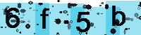 Capcha code